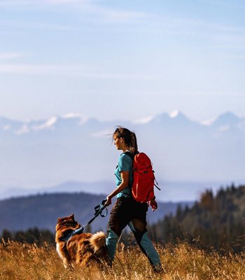 [Translate to english:] Urlaub mit Hund im Schwarzwald
